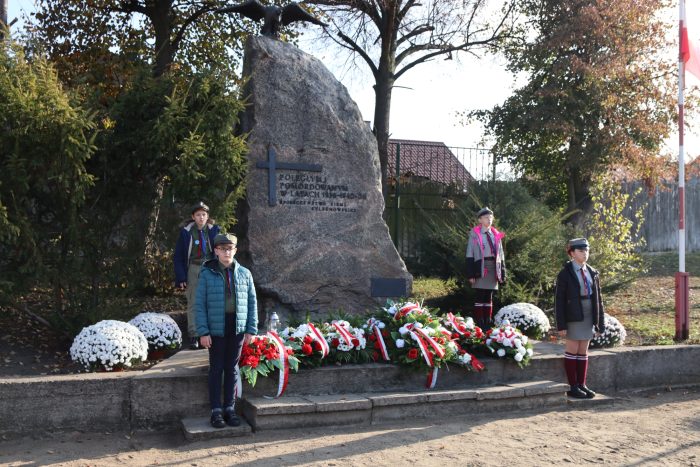 Miniaturka artykułu Narodowe Święto Niepodległości