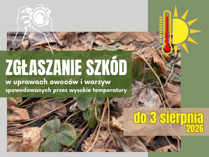 Miniaturka artykułu Zgłoszenia szkód spowodowanych przez wysokie temperatury